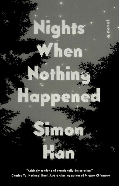 Book cover of Nights When Nothing Happened: A Novel