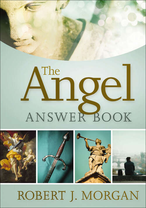 Book cover of Angel Answer Book