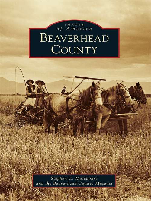 Book cover of Beaverhead County