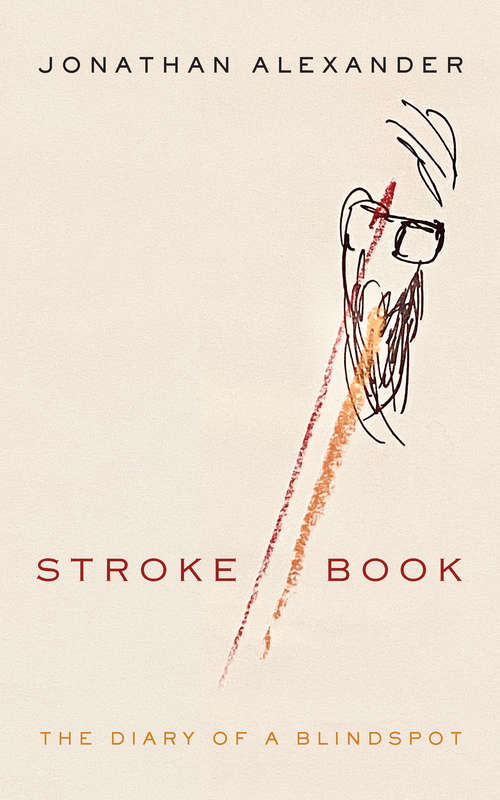 Stroke Book: The Diary of a Blindspot