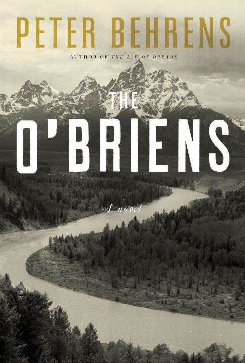 Book cover of The O'Briens