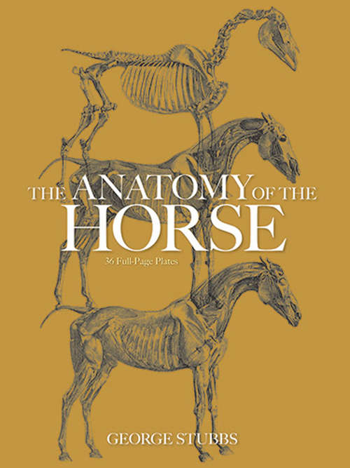 Book cover of The Anatomy of the Horse