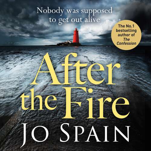 Book cover of After the Fire: The latest gripping Tom Reynolds mystery (An Inspector Tom Reynolds Mystery Book 6) (An Inspector Tom Reynolds Mystery #6)