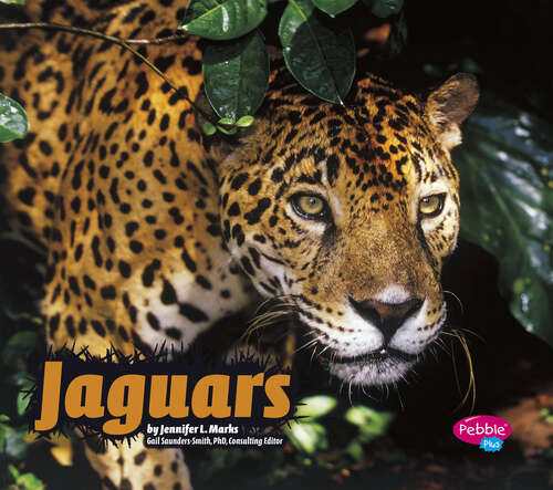 Jaguars (Wildcats Ser.)