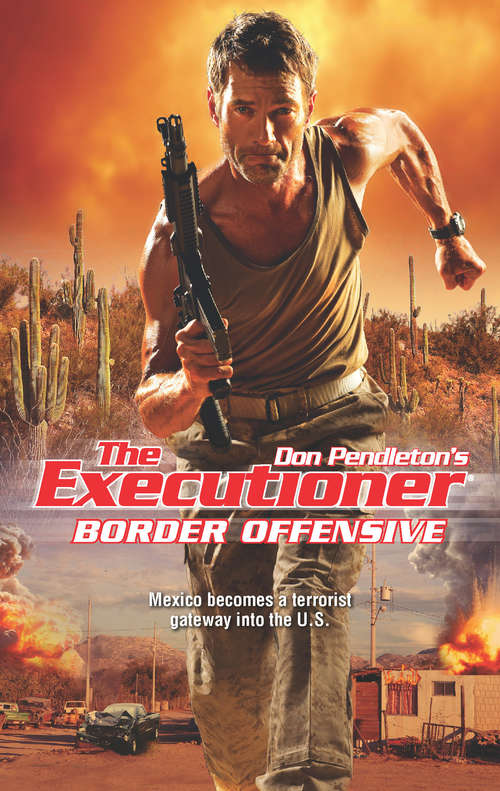 Book cover of Border Offensive