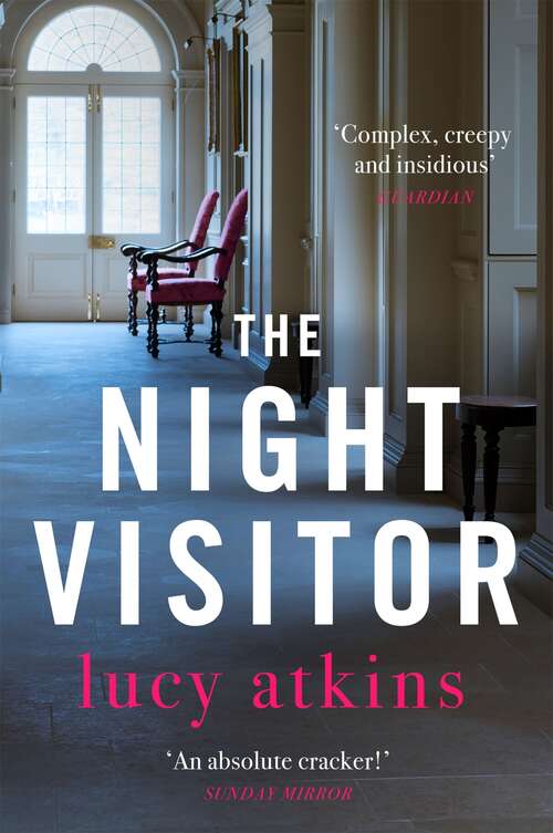 Book cover of The Night Visitor: the gripping suspenseful thriller from the author of Magpie Lane