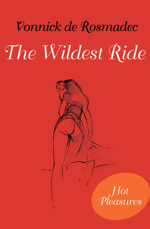 Book cover of The Wildest Ride
