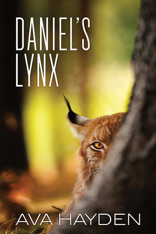 Book cover of Daniel's Lynx