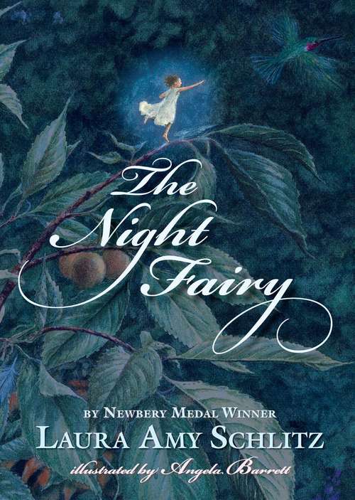 Book cover of The Night Fairy