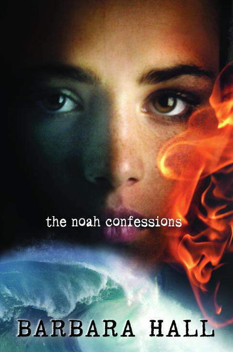Book cover of The Noah Confessions