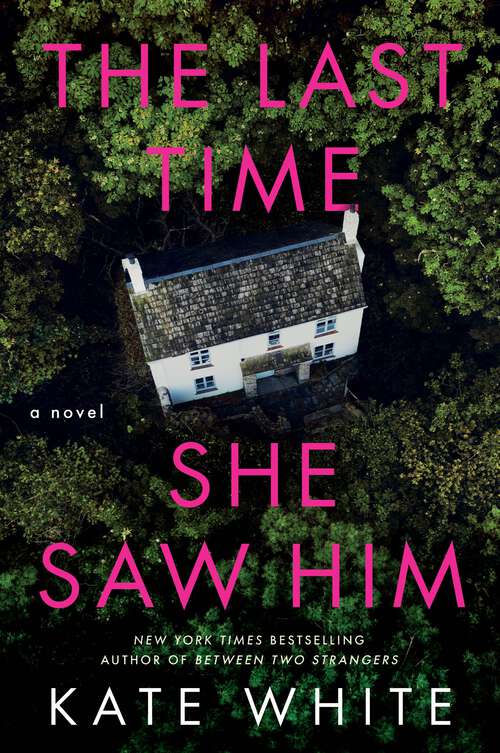 Book cover of The Last Time She Saw Him: A Novel
