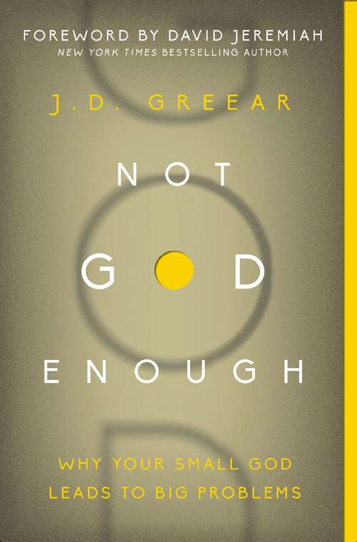 Book cover of Not God Enough: Why Your Small God Leads to Big Problems