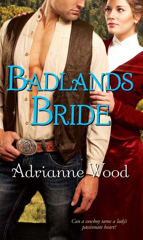 Book cover of Badlands Bride