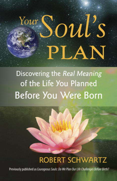 Book cover of Your Soul's Plan