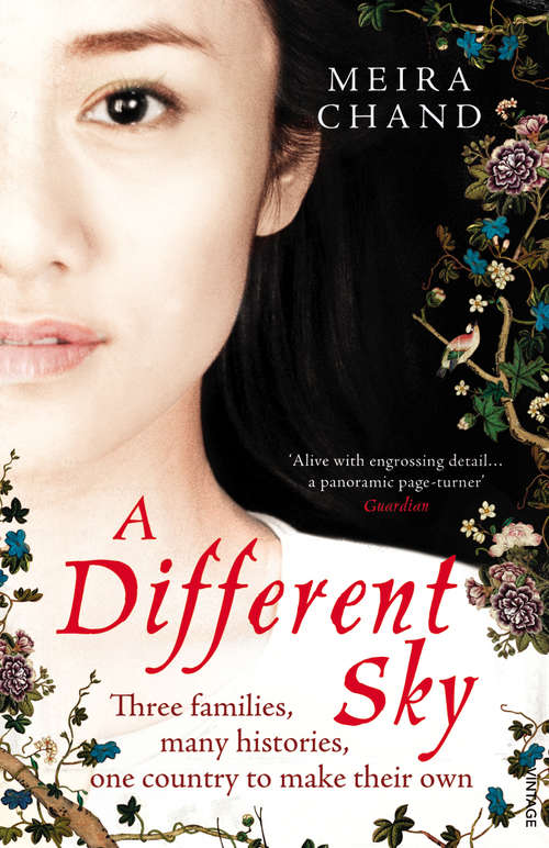 Book cover of A Different Sky