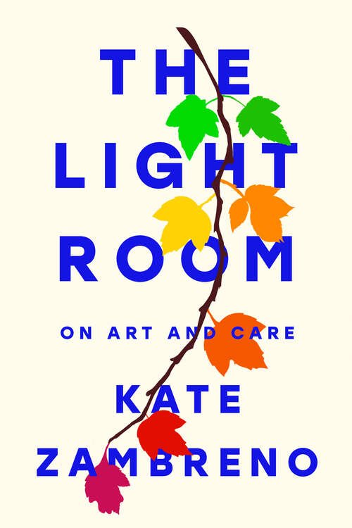 Book cover of The Light Room
