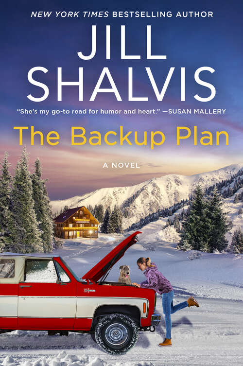 Book cover of The Backup Plan: A Novel (The Sunrise Cove Series #3)