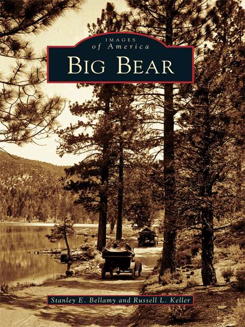 Book cover of Big Bear