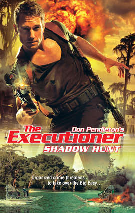 Book cover of Shadow Hunt