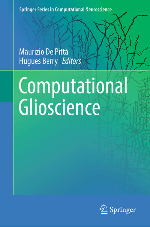 Computational Glioscience (Springer Series in Computational Neuroscience)