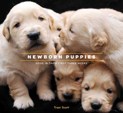 Book cover of Newborn Puppies