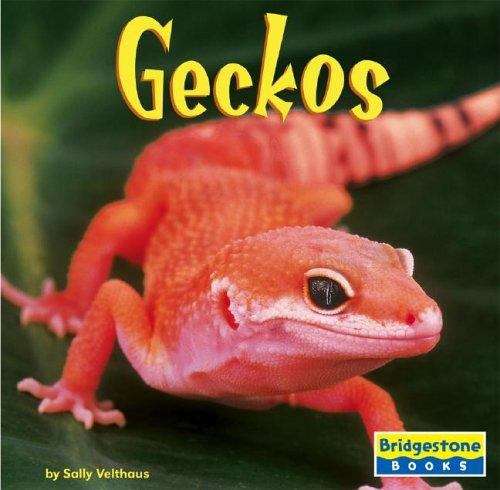 Book cover of Geckos (World of Reptiles)