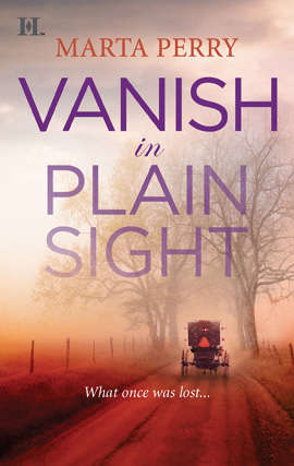 Book cover of Vanish in Plain Sight