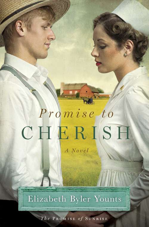 Book cover of Promise to Cherish
