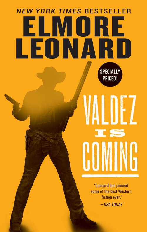 Book cover of Valdez Is Coming