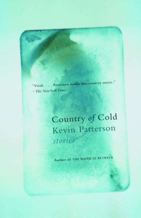 Book cover of Country of Cold