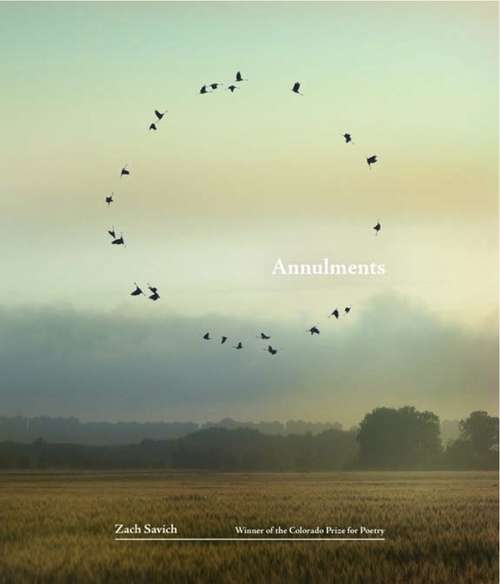 Book cover of Annulments