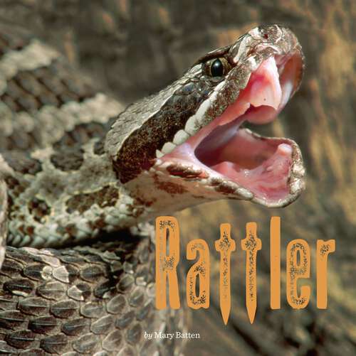 Book cover of Rattler (Penguin Core Concepts Ser.)
