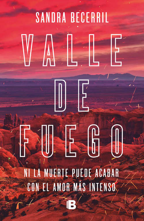 Book cover of Valle de fuego