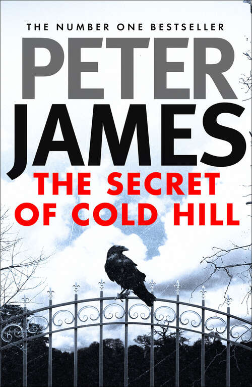 Book cover of The Secret of Cold Hill (Digital Original) (The Cold Hill Ghost Stories)