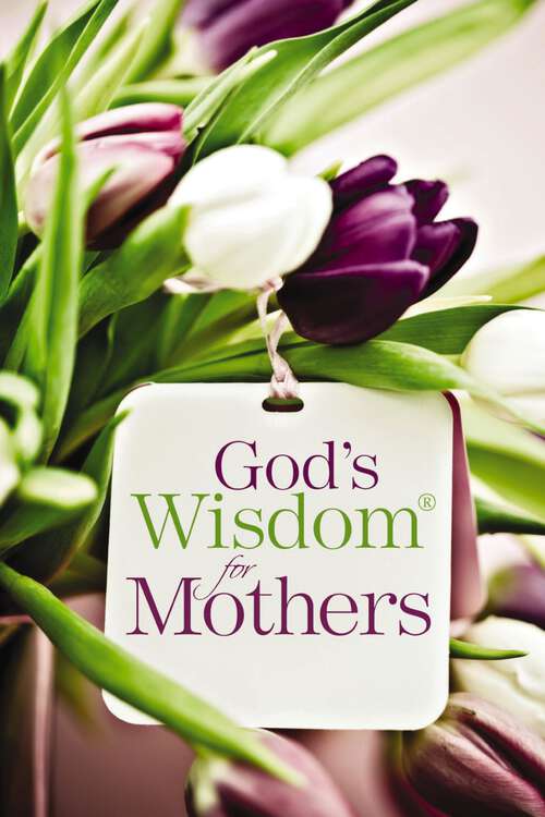 Book cover of God's Wisdom for Mothers