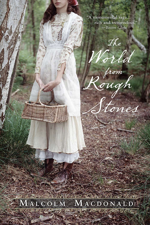 Book cover of The World from Rough Stones