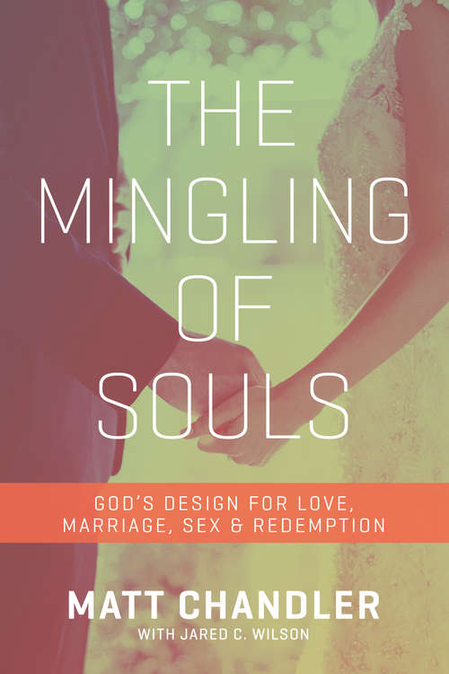 Book cover of The Mingling of Souls