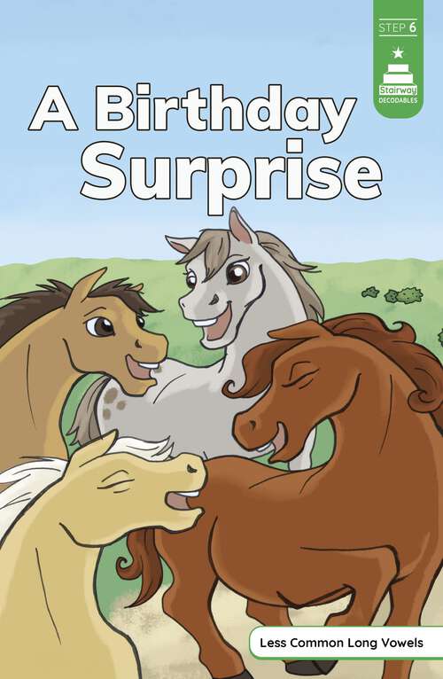 Book cover of A Birthday Surprise (Stairway Decodables Step 6)