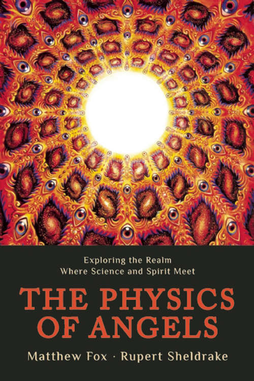Book cover of The Physics of Angels
