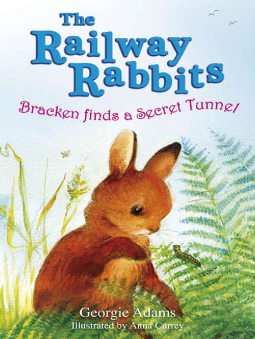 Book cover of Bracken Finds a Secret Tunnel: Book Five
