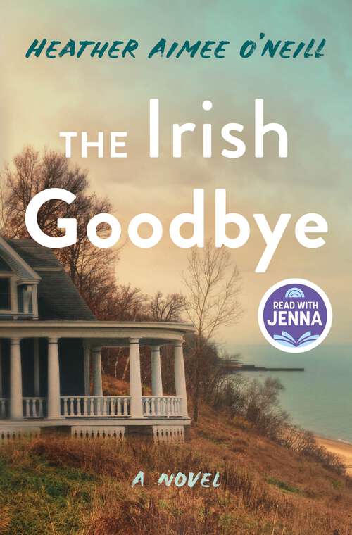 Book cover of The Irish Goodbye: A Novel