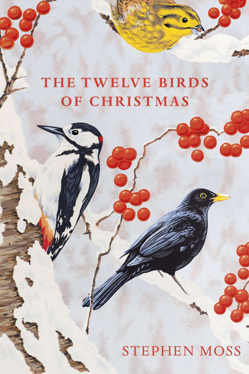 Book cover of The Twelve Birds of Christmas