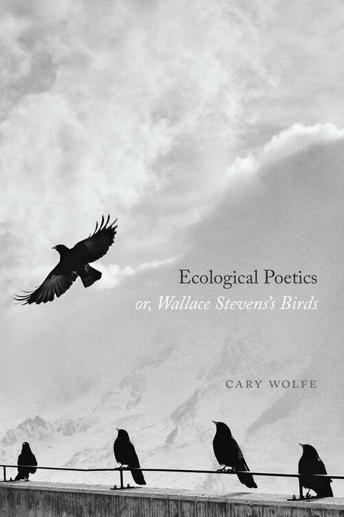 Ecological Poetics; or, Wallace Stevens’s Birds