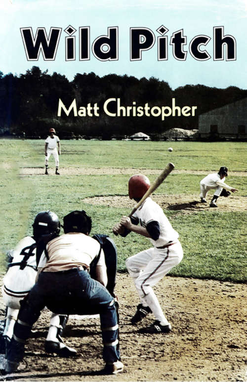 Book cover of Wild Pitch