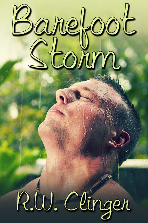 Book cover of Barefoot Storm