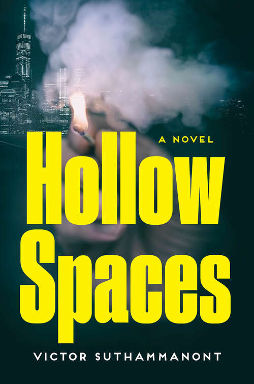 Book cover of Hollow Spaces: A Novel