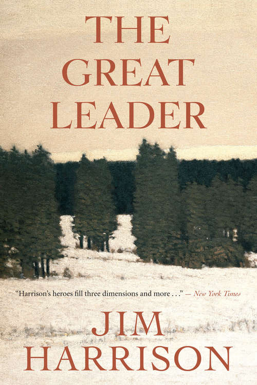 Book cover of The Great Leader
