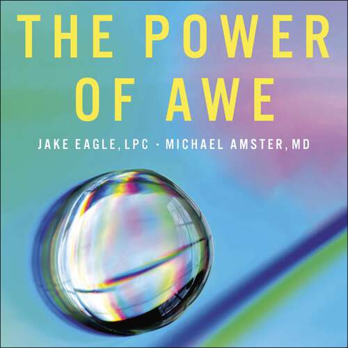 Book cover of The Power of Awe: Overcome Burnout & Anxiety, Ease Chronic Pain, Find Clarity & Purpose — In Less Than 1 Minute Per Day