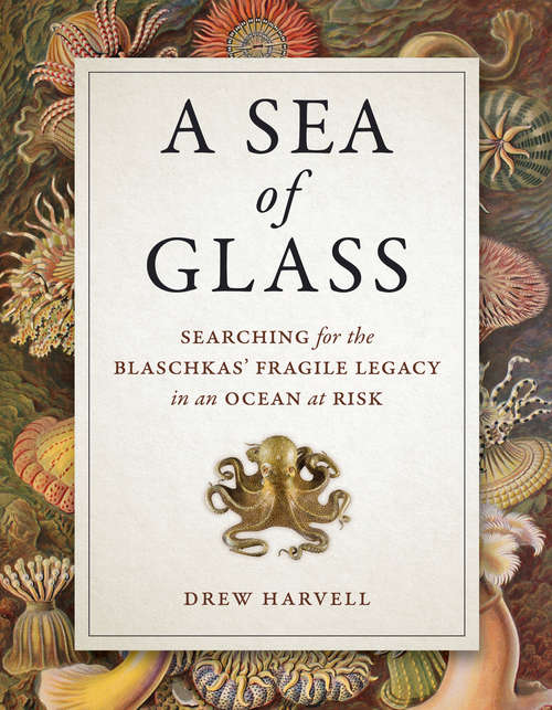 Book cover of A Sea of Glass: Searching for the Blaschkas' Fragile Legacy in an Ocean at Risk (Organisms and Environments #13)
