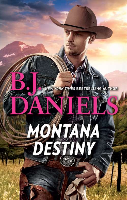 Book cover of Montana Destiny: An Anthology (Whitehorse, Montana:  Chisholm Cattle Company)